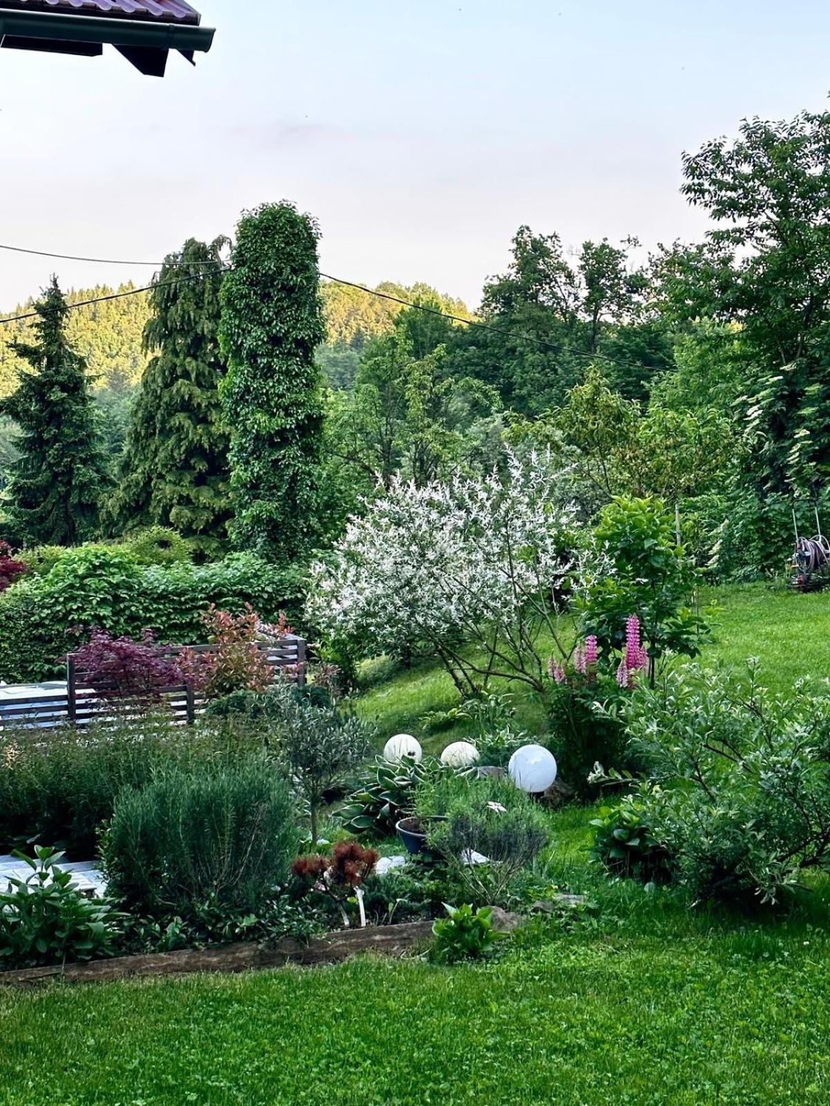 Lizmari Lägenhet Podčetrtek Exteriör bild